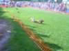 dsc04876_small.jpg
