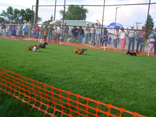dsc04896.jpg