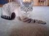 Photo Number 13