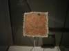 dsc06938_small.jpg
