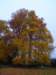 dsc06978_small.jpg