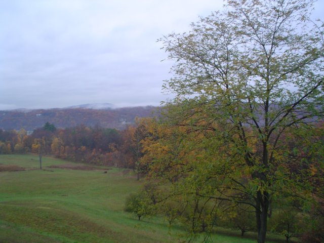 dsc07056.jpg
