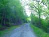dsc02057_small.jpg