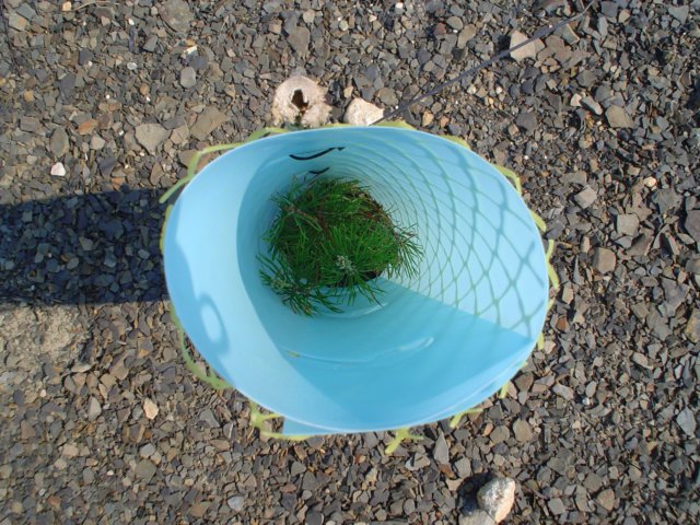 dsc02083.jpg