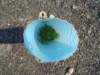 dsc02083_small.jpg