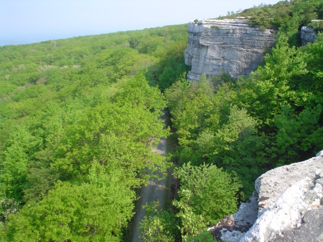 dsc02092.jpg