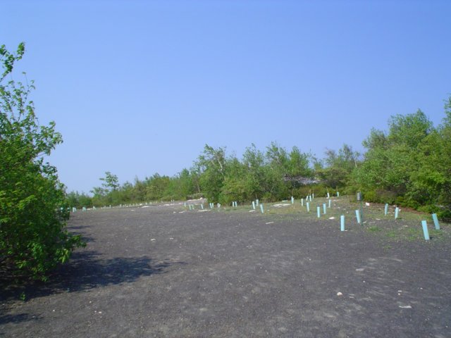 dsc02126.jpg