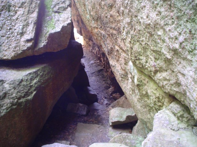 dsc02157.jpg