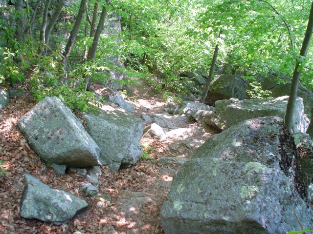 dsc02162.jpg