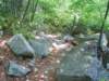 dsc02162_small.jpg