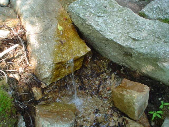 dsc02167.jpg
