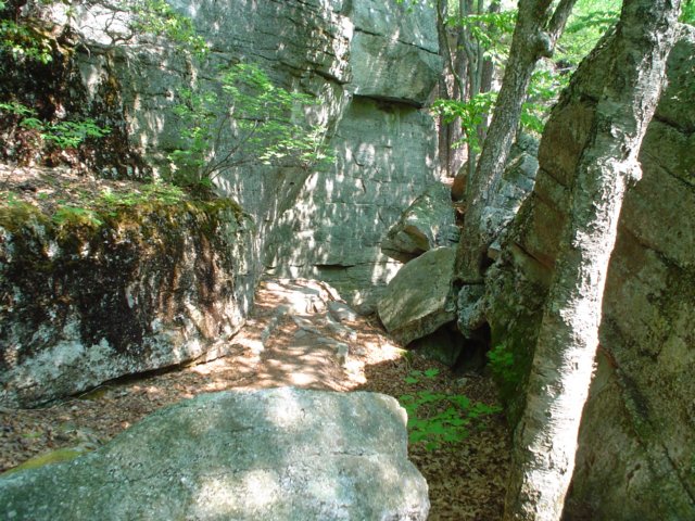 dsc02186.jpg