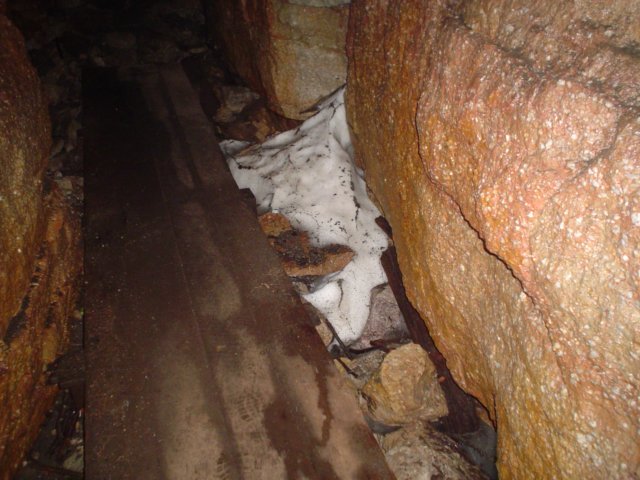 dsc02202.jpg