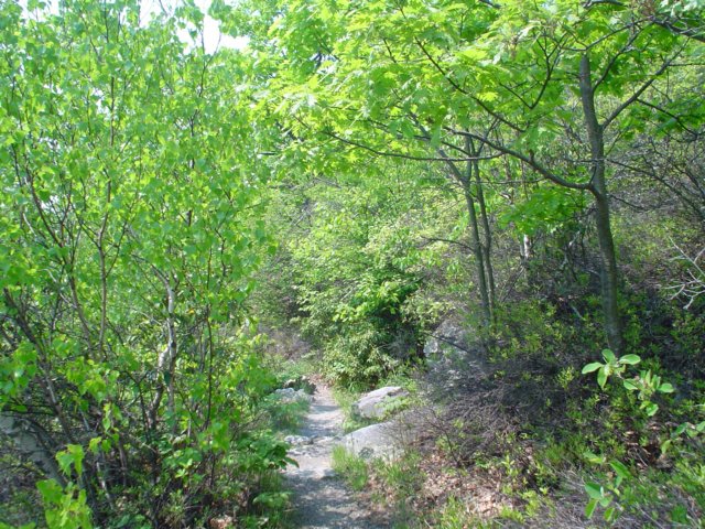 dsc02227.jpg