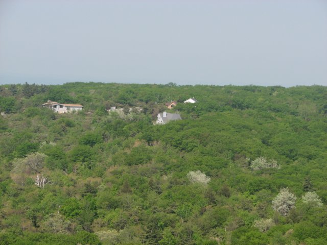 img_0092.jpg