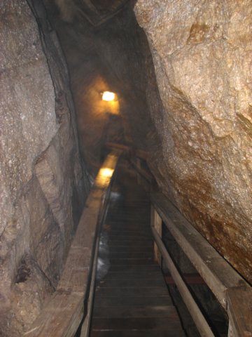 img_0263.jpg