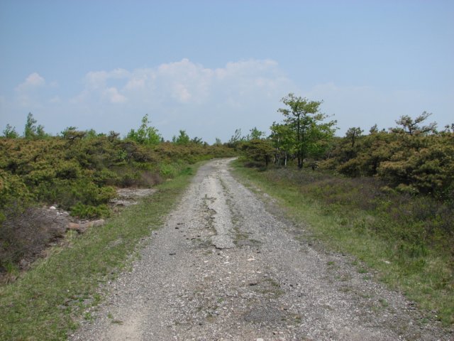 img_0273.jpg