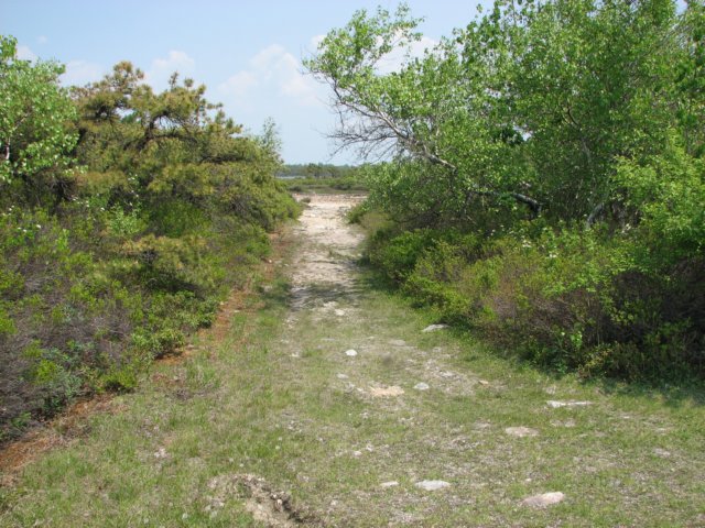 img_0274.jpg