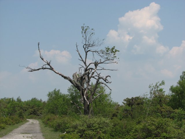 img_0300.jpg
