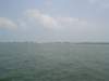 ferryview02_small.jpg