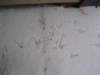 Photo Number 5