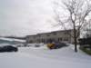 Photo Number 7
