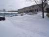 Photo Number 8
