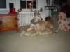Photo Number 14