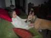 Photo Number 8