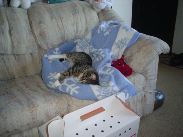 dsc05161.jpg