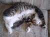 dsc05173_small.jpg