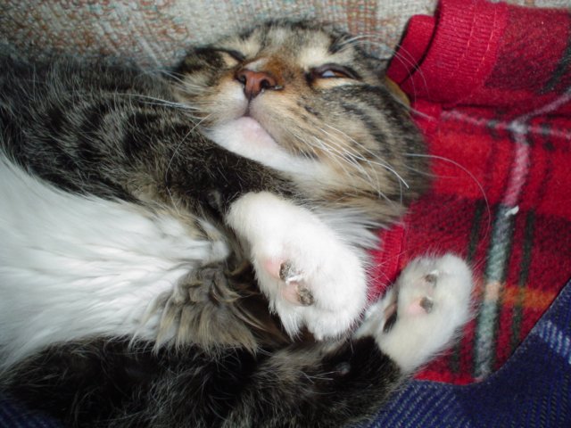 dsc05185.jpg
