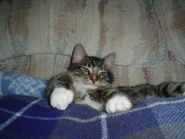 dsc05186.jpg