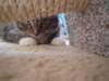 dsc05605_small.jpg