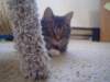 dsc05606_small.jpg