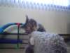 dsc05608_small.jpg