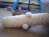 dsc05611_small.jpg