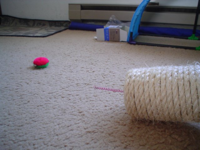 dsc05613.jpg