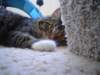 dsc05614_small.jpg
