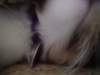 dsc05615_small.jpg