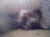 dsc05616_small.jpg