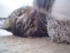 dsc05618_small.jpg