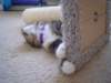 dsc05620_small.jpg