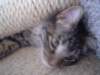 dsc05621_small.jpg