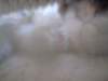 dsc05626_small.jpg
