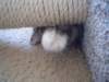 dsc05627_small.jpg