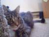 dsc05628_small.jpg