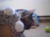 dsc05634_small.jpg