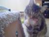 dsc05635_small.jpg