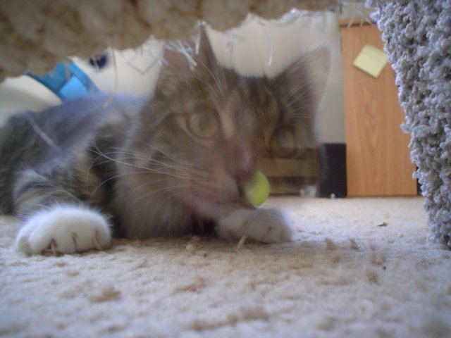 dsc05637.jpg